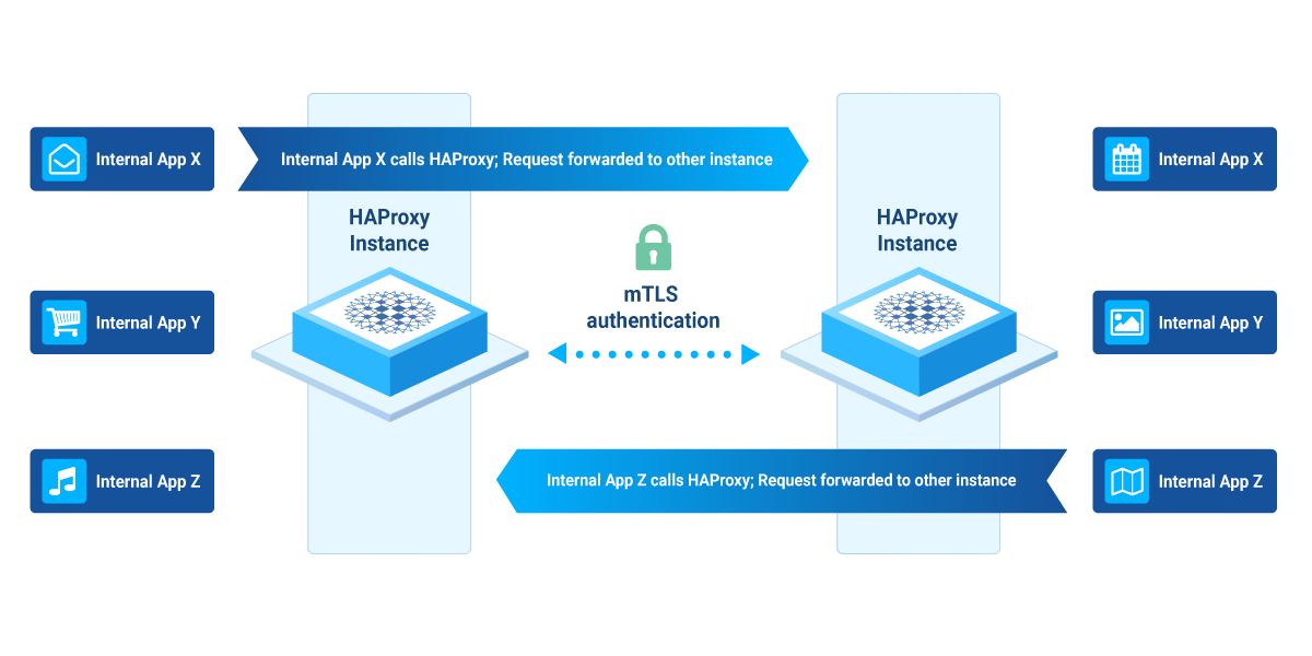 mesh-composed-of-haproxy-instances-all-securely-communicating-with-each-other_copy_2-1723557225